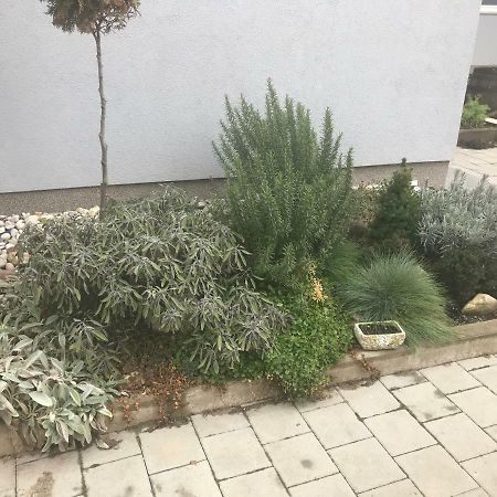 Studio Apartman Valentina Velika Mlaka Dış mekan fotoğraf