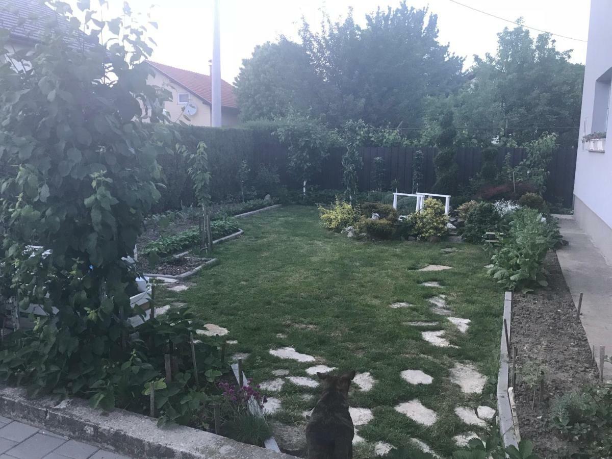 Studio Apartman Valentina Velika Mlaka Dış mekan fotoğraf